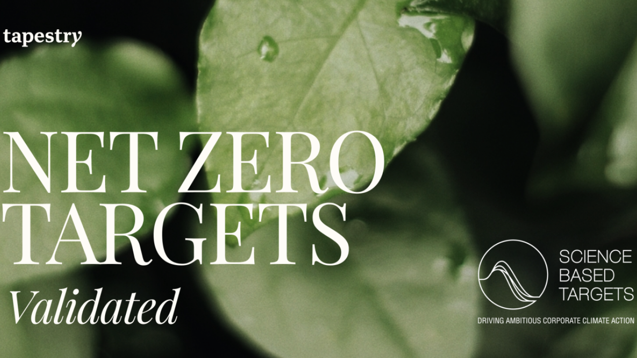 Banner image with a close up of green leaves and text saying Net Zeri Targets Validated