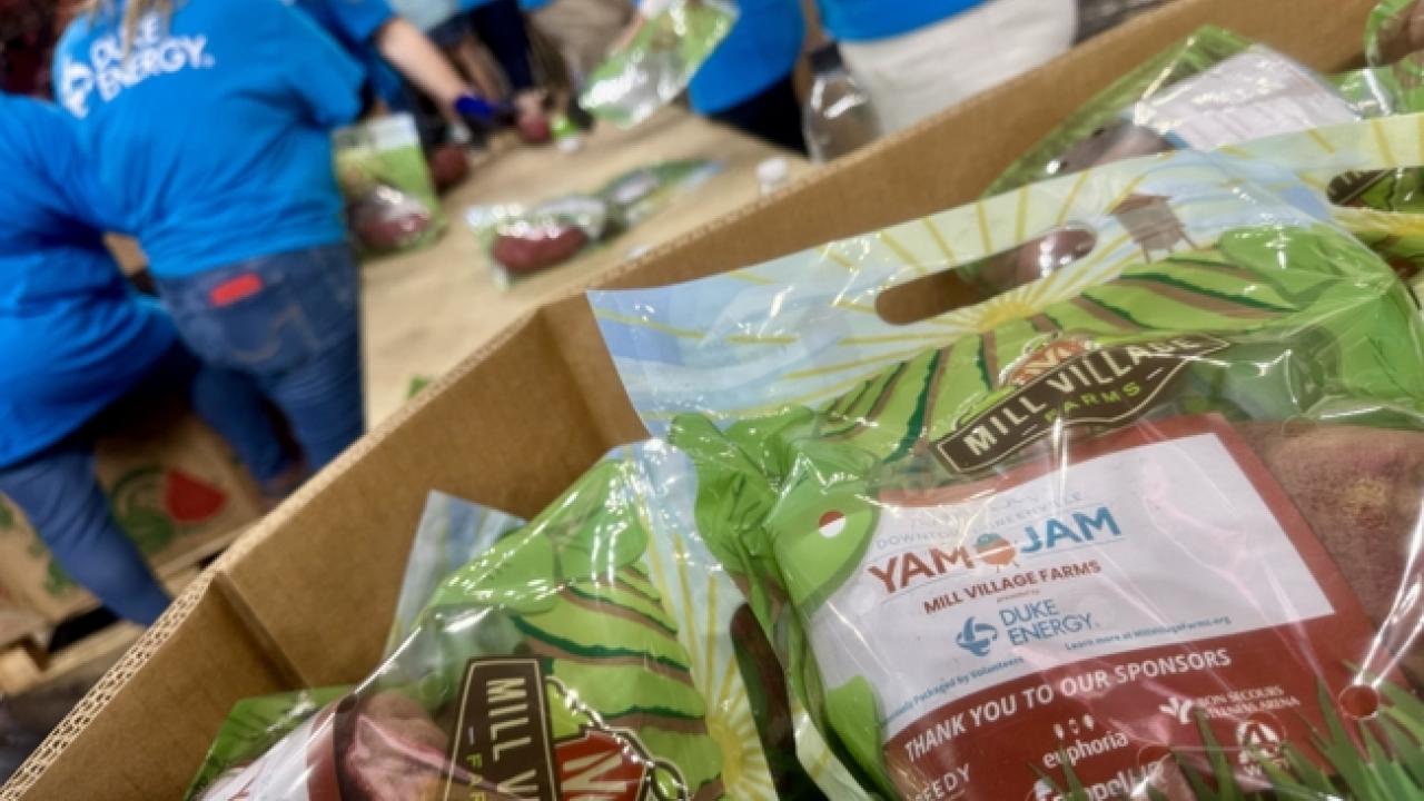 Yam Jam, a volunteer event in Greenville