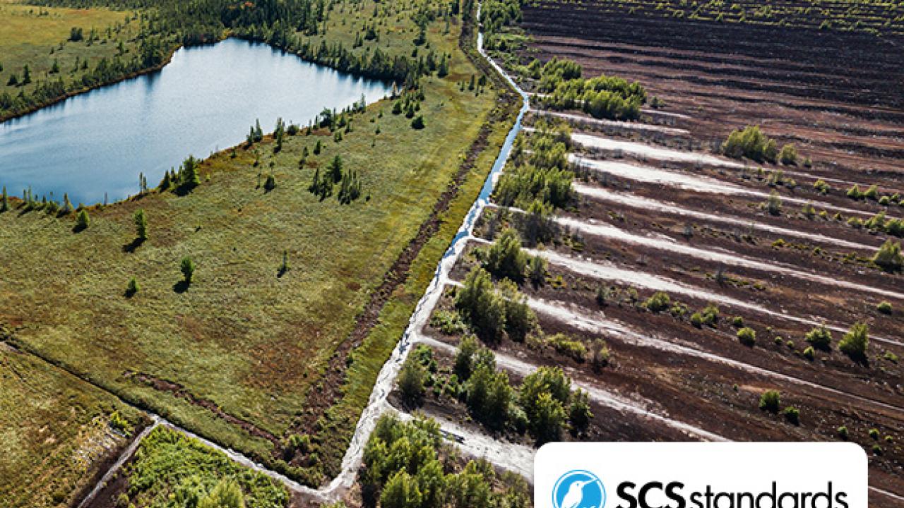 SCS Standards Releases Revised SCS Responsibly Managed Peatlands Standard for Public Review