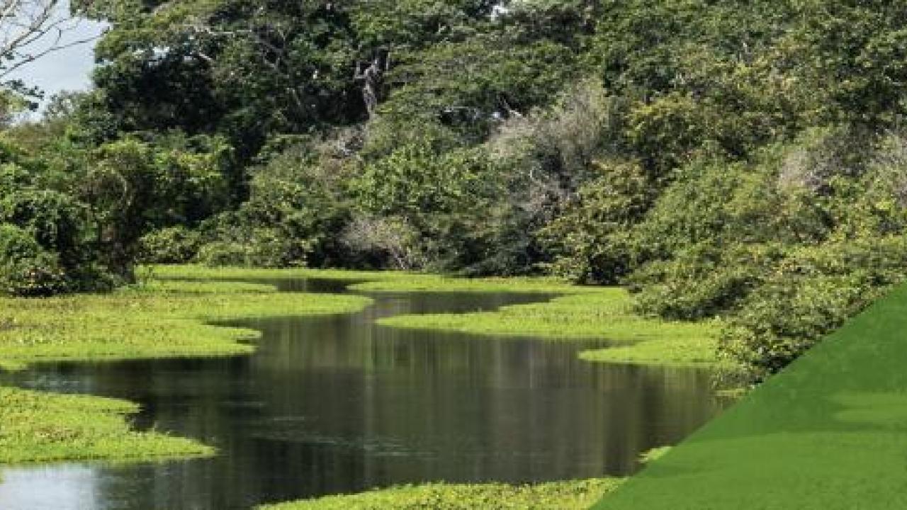 SCS Standards Releases Water Stewardship and Resiliency Certification Standard for Public Review and Comment