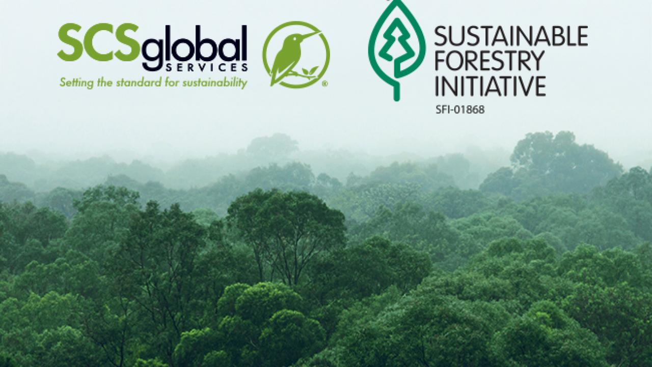 Forest landscape with SCS and SFI logos