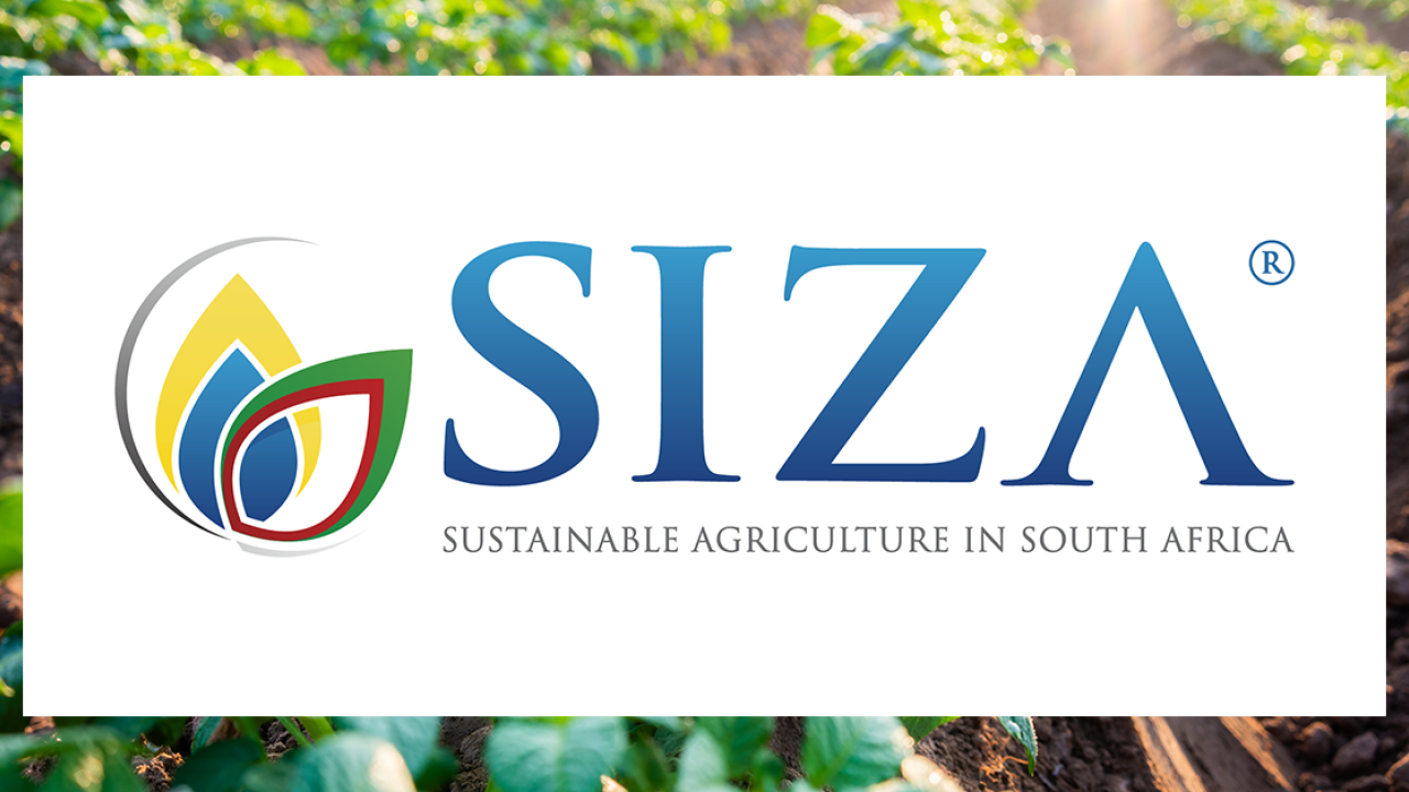 SIZA achieves SSCI Recognition