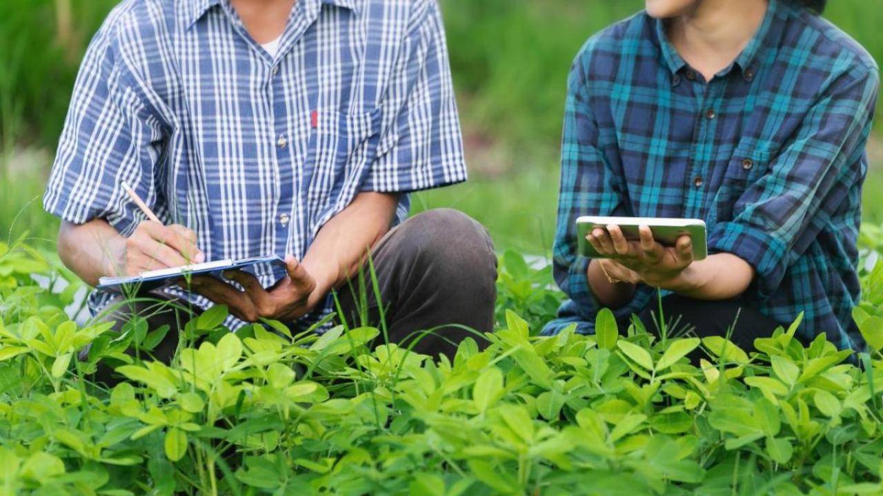 Two people in a farm holding tablets smiling at each other 