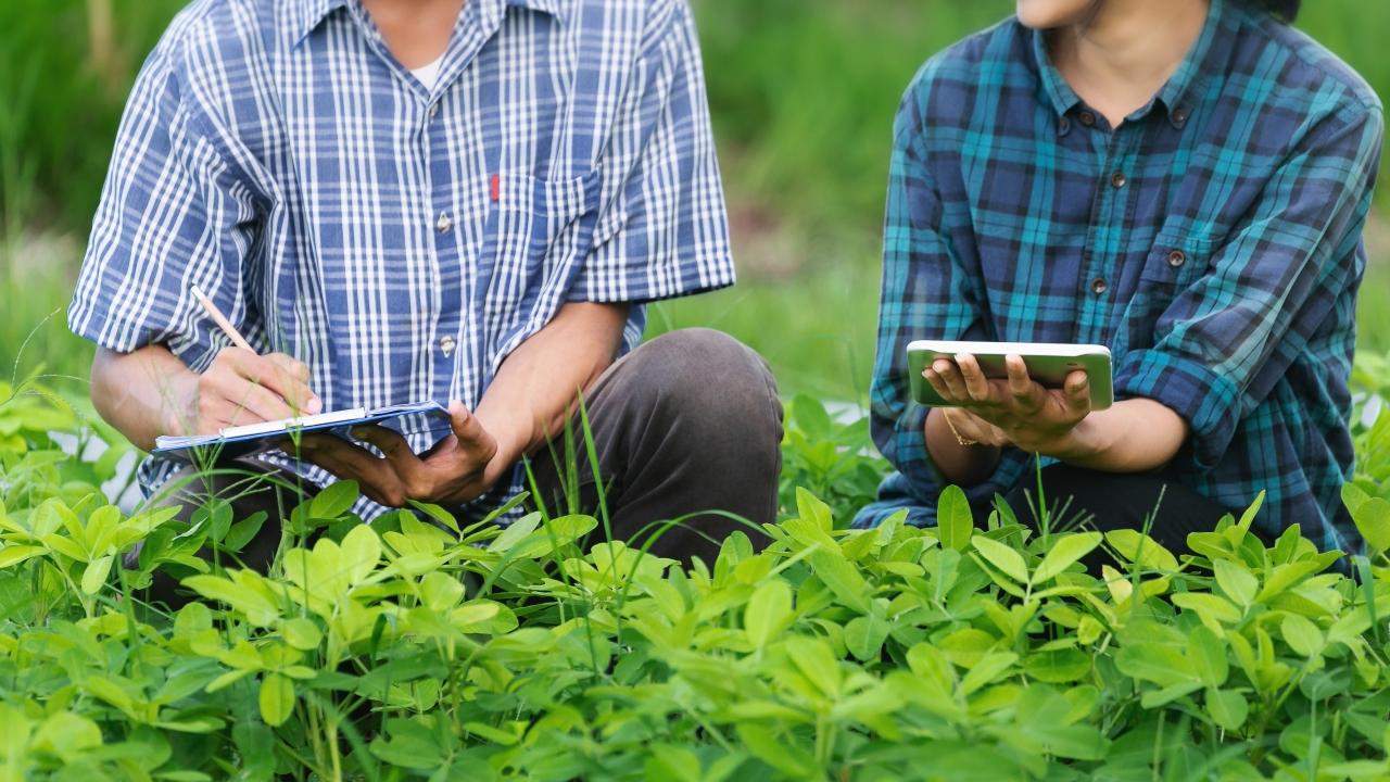 Two people writing on clipboards in a field