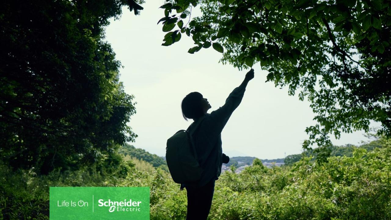 A person reaching up towards a tree branch 