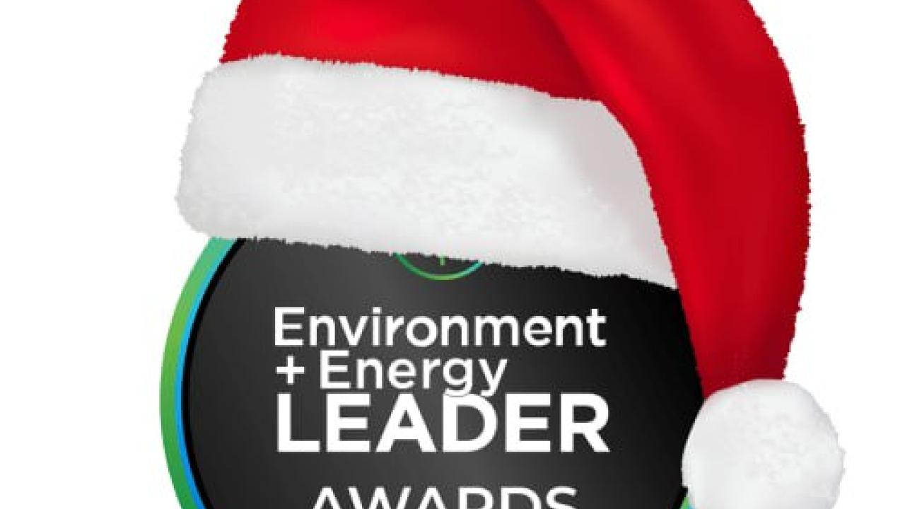 Festive E+E Leader Awards 2024 Badge