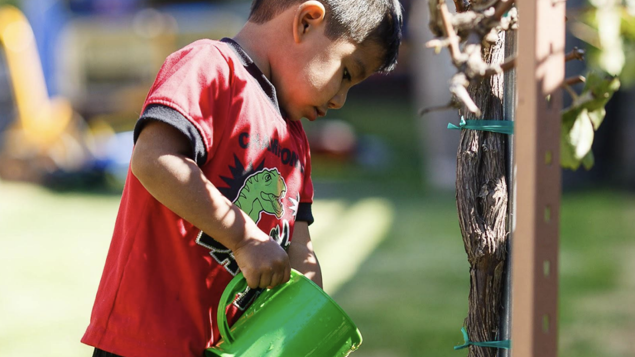 Child in red shirt pouring water from watering canteen