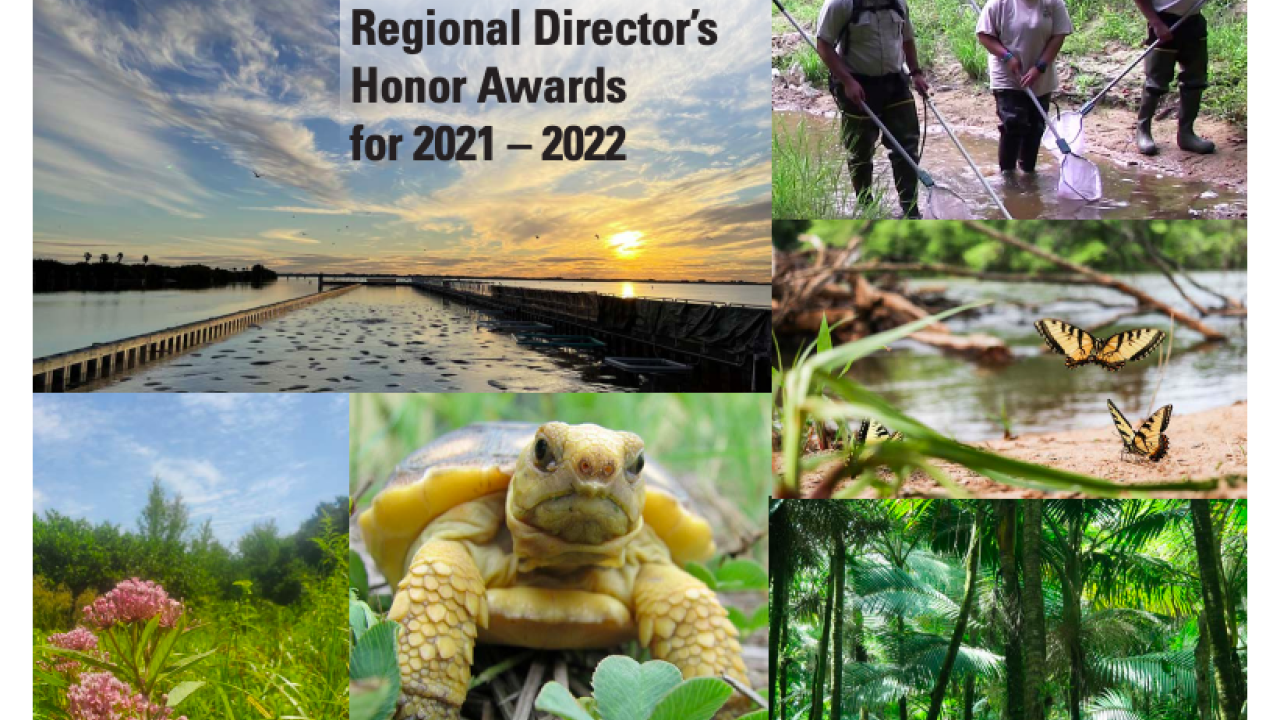 U.S. Fish and Wildlife Service Regional Director’s Honor Award 