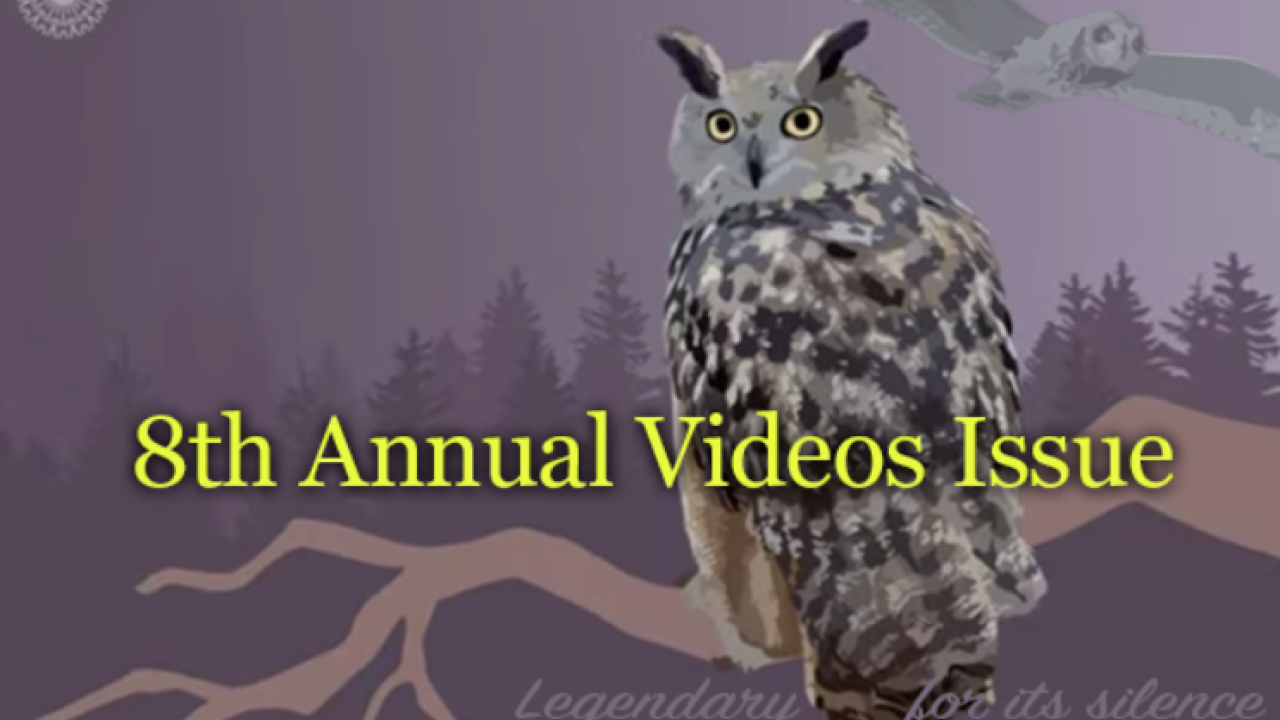 GreenMoney's 8th Annual Videos issue