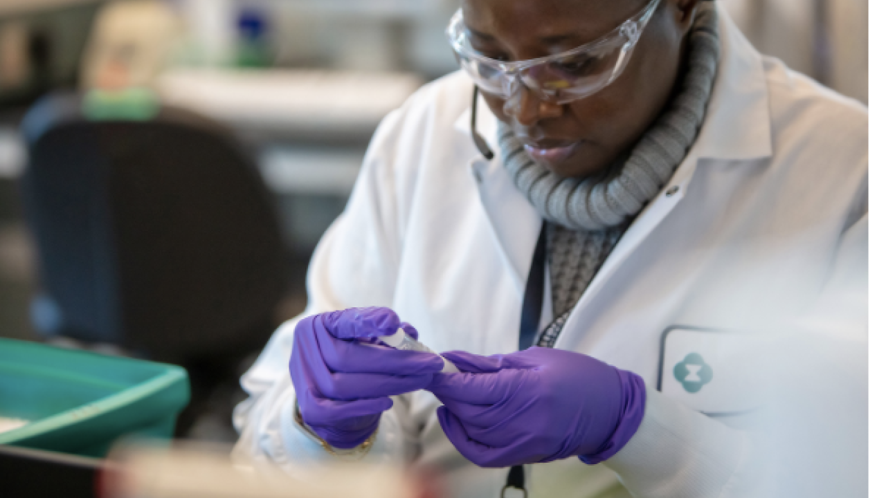 lab