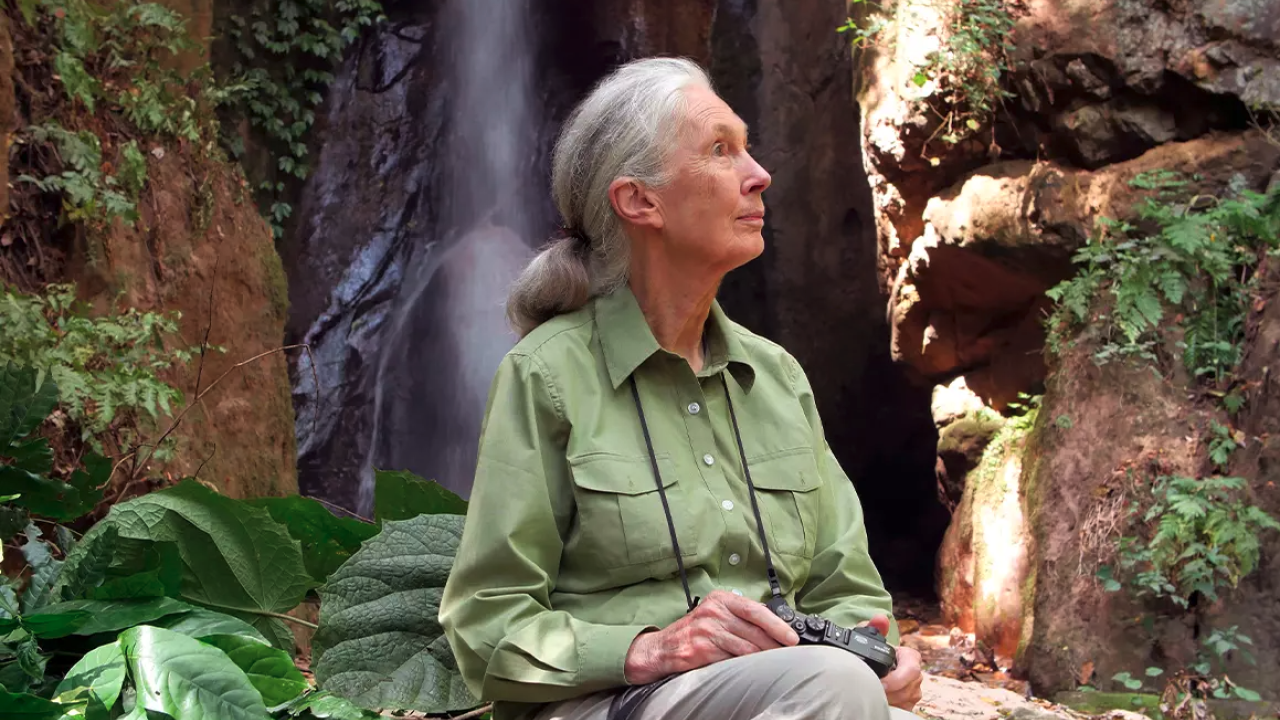 Jane Goodall in front of waterfall