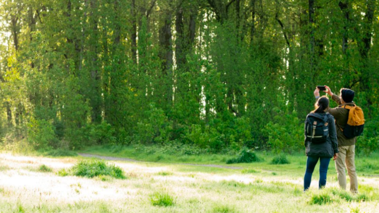Couple taking a photo in a forest