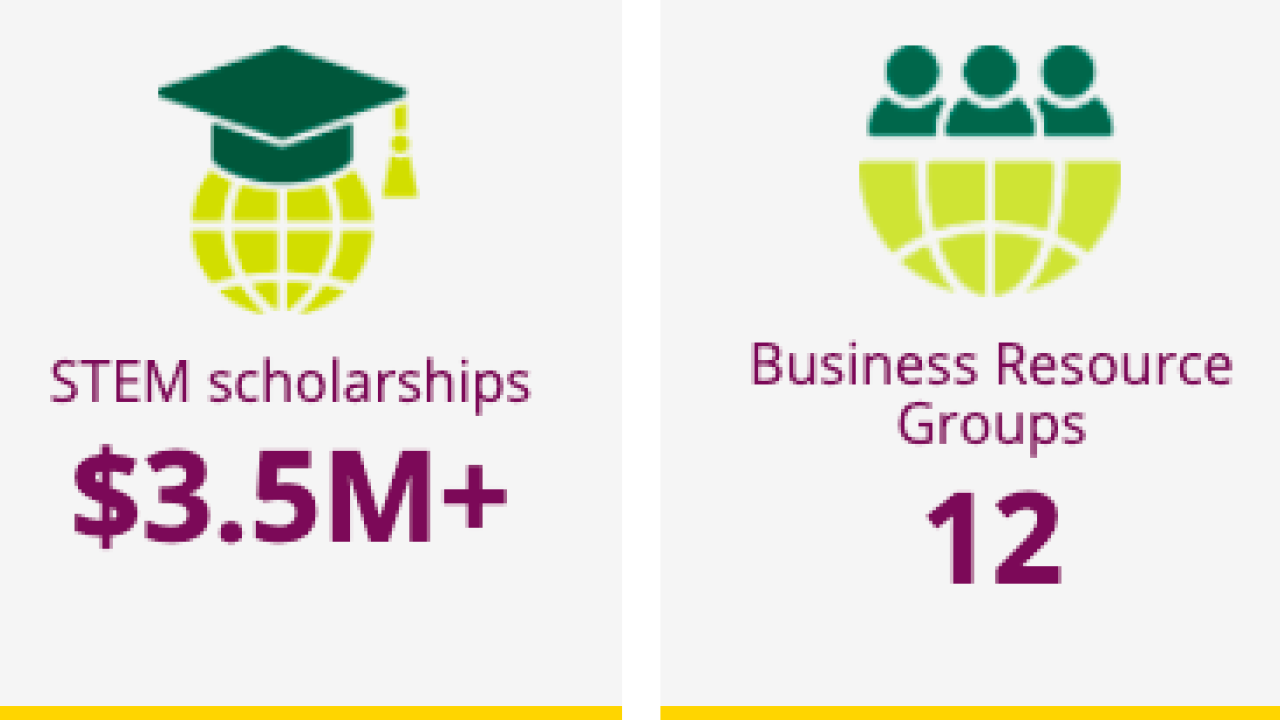 Edison International DEI 2021 At a Glance