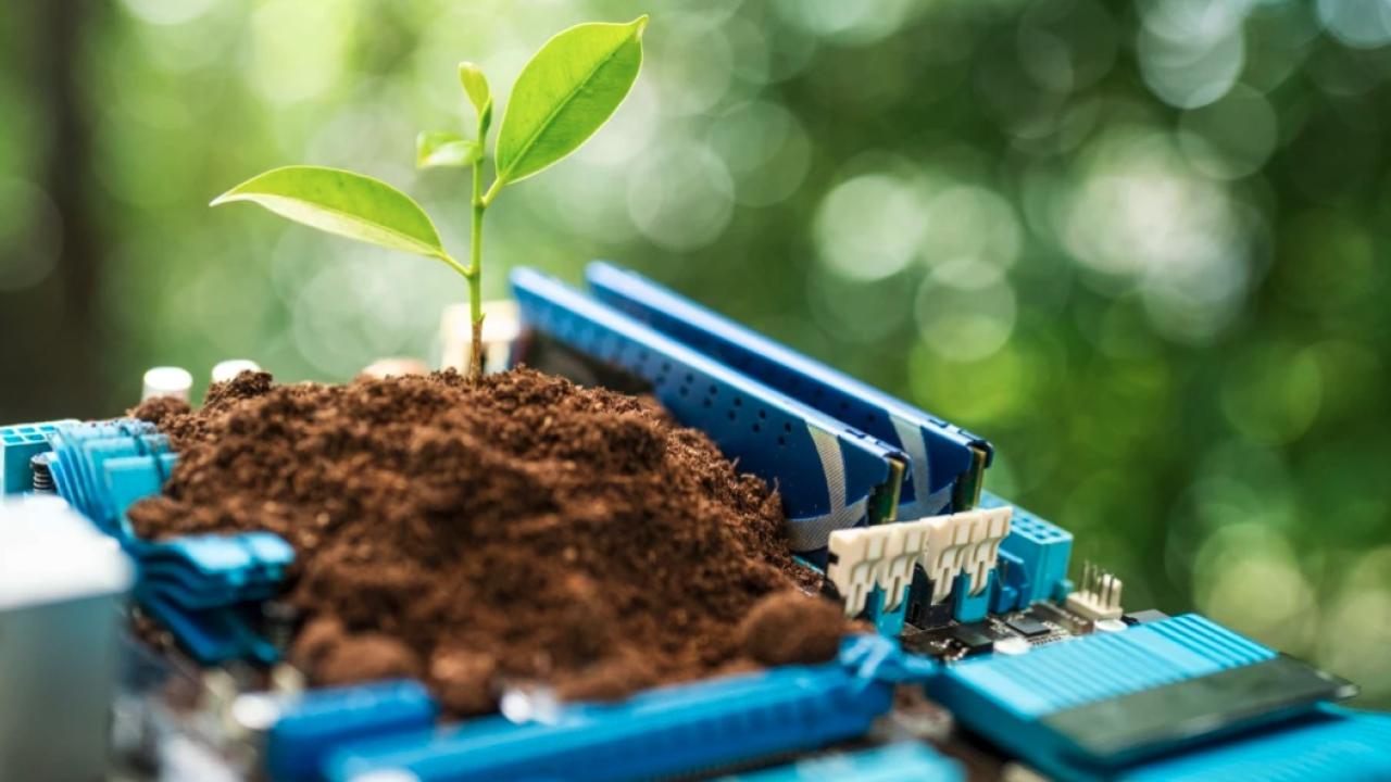 Electronics in the dirt with a plant.