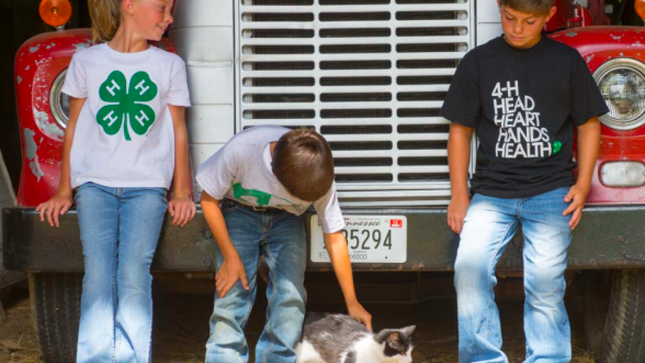 Three children wearing 4H shirts while one of them plays with a cat
