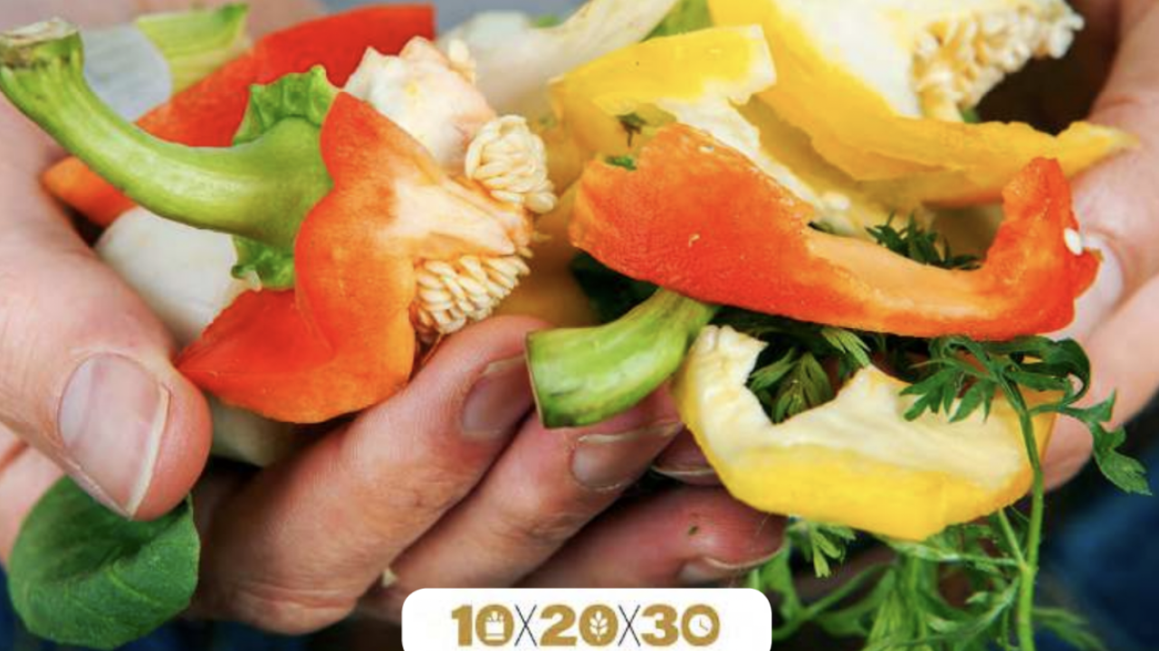 handful of foodwaste