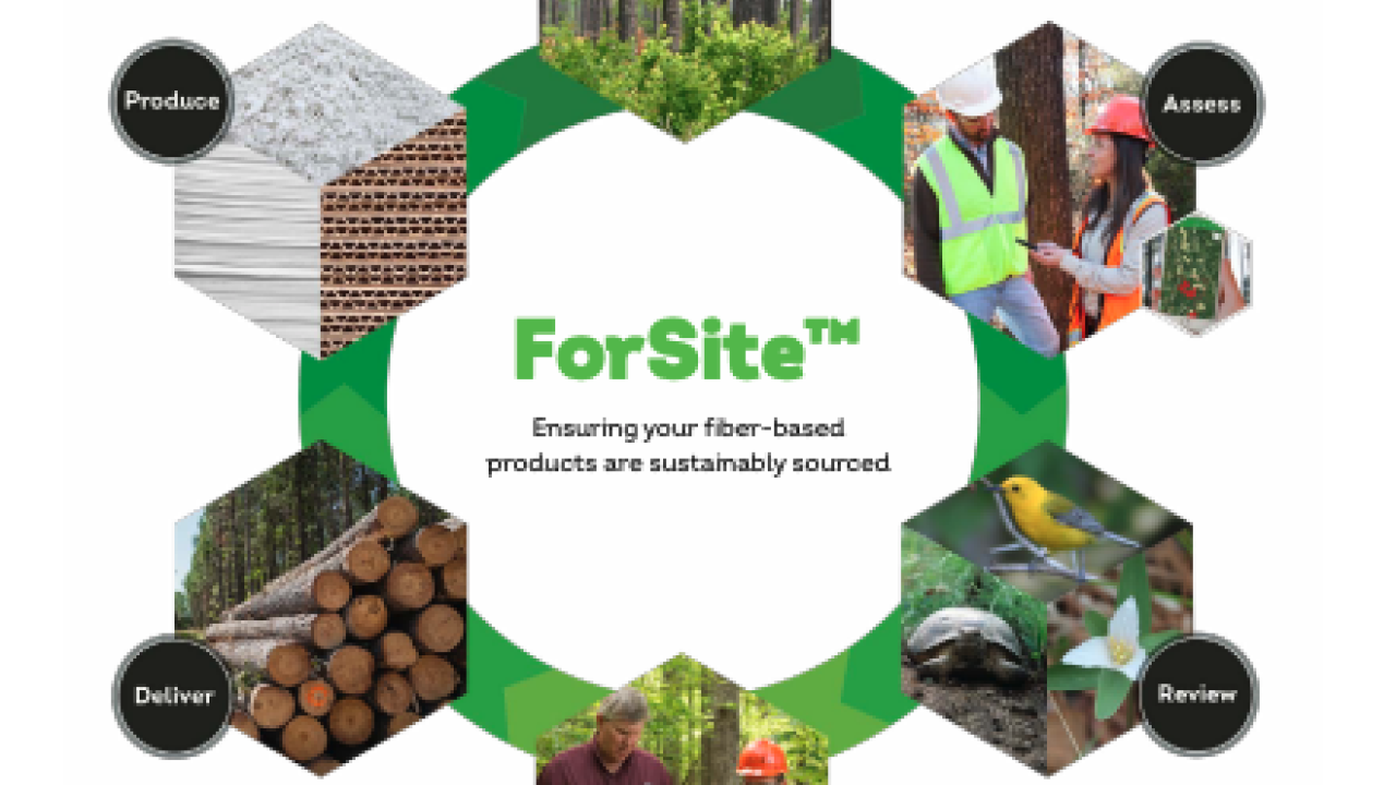 ForSite Infographic