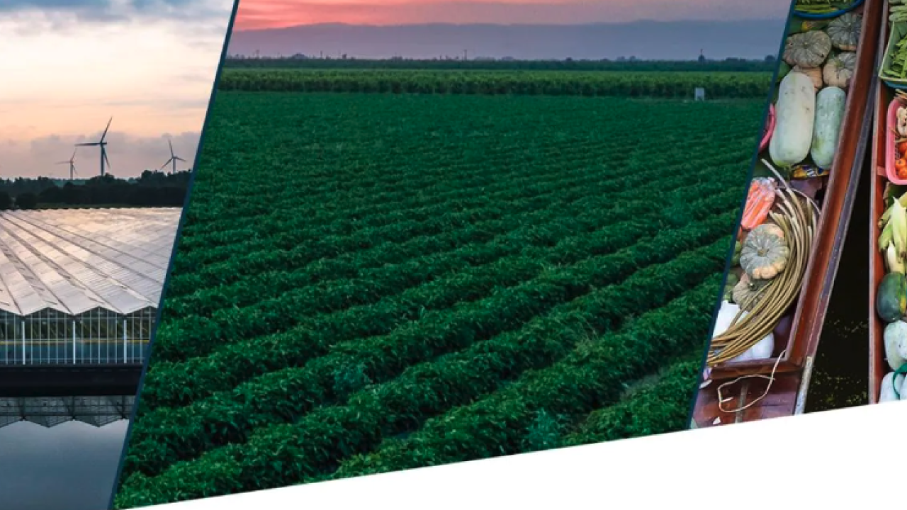Bayer Vegetables