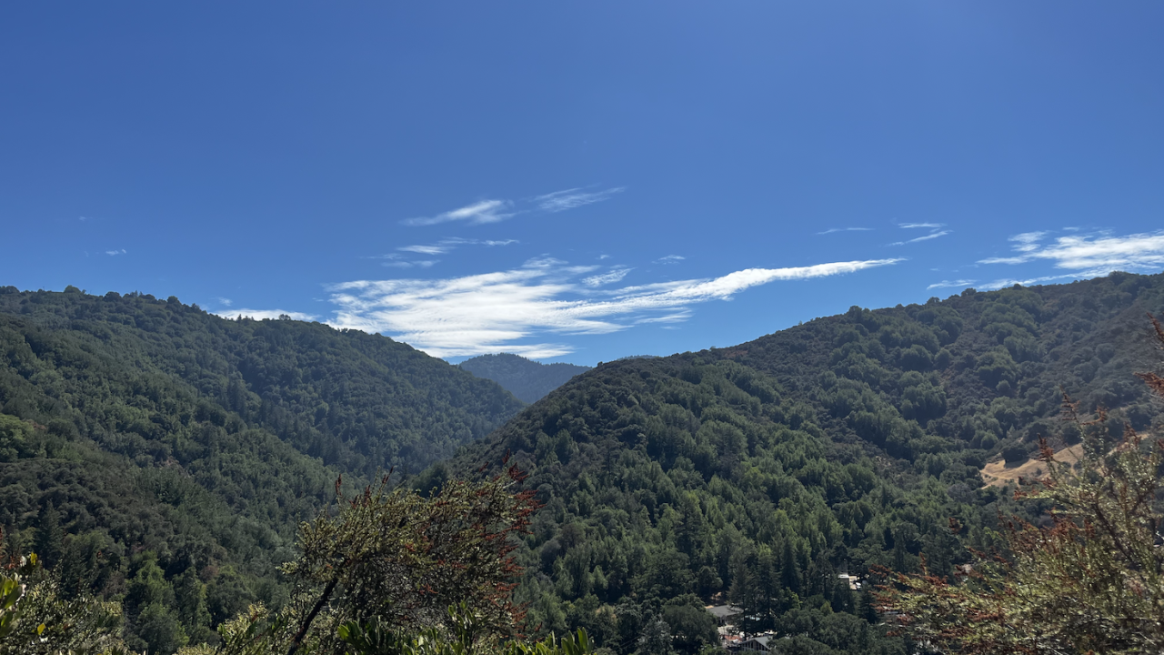 Aerial view of a hilly, forested landscape.