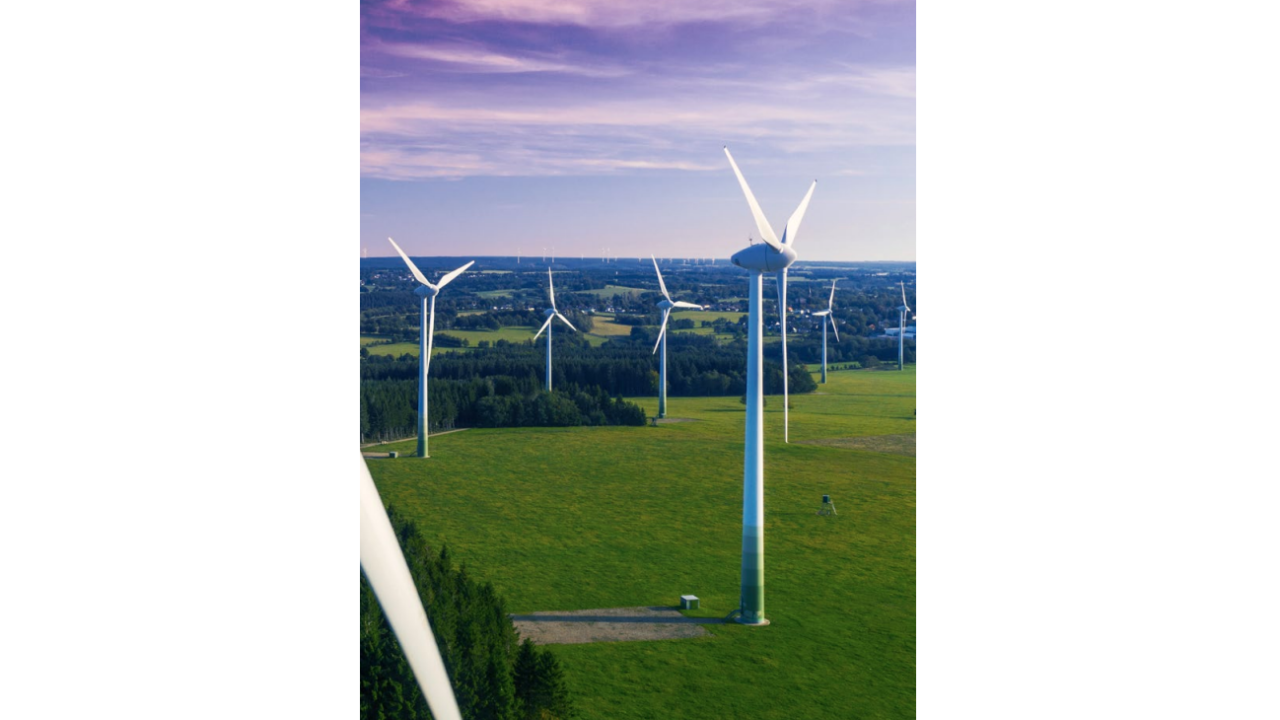 windmills