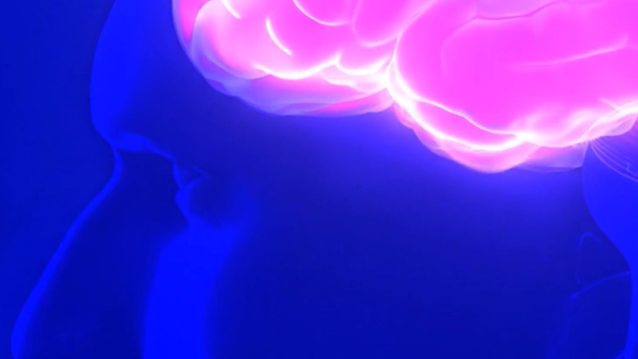 Illustration of human brain