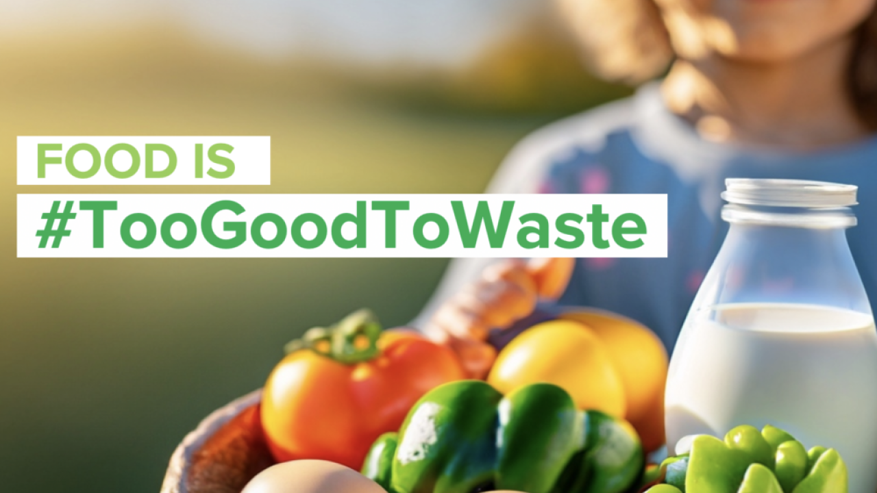 Text Food is #TooGoodToWaste over photo of young person holding basket of fresh food