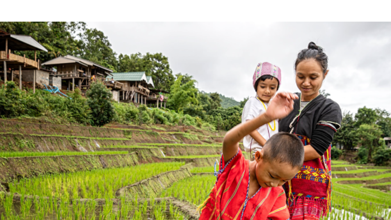 2 children walk through rice field with mother 