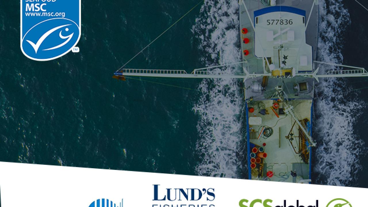 MSC certified scup fishery