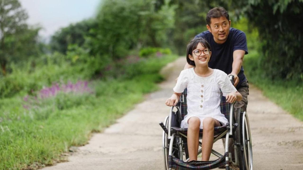 An adult pushing a child in a wheelchair on a sandy path with lush greenery on the sides.