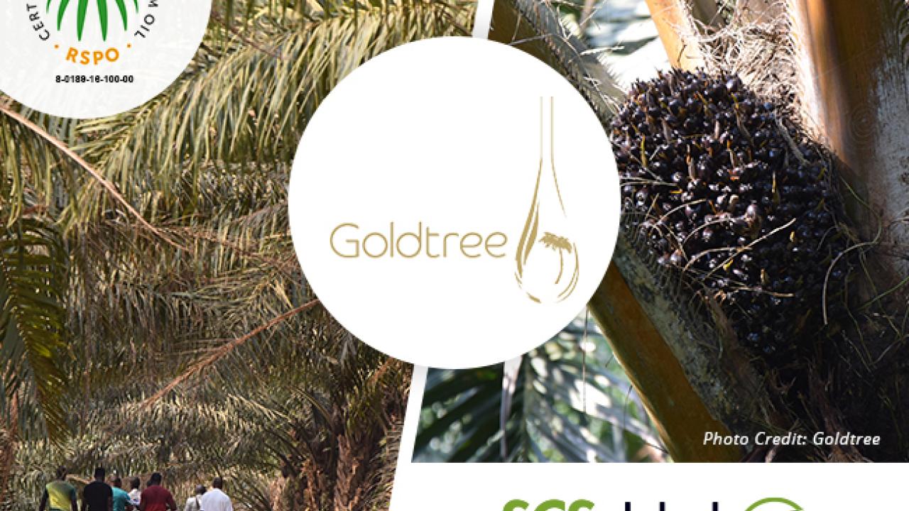 images of trees and logos for Goldtree, SCS Global, and RSPO