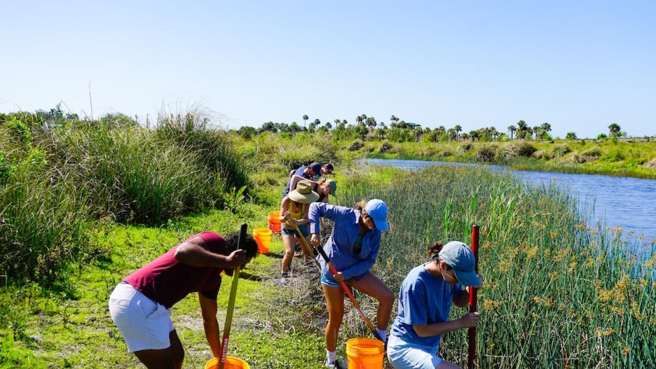 Volunteers working together by a body of water