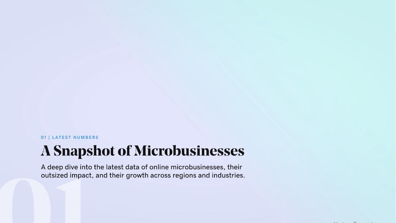 GoDaddy: A Snapshot of microbusinesses.
