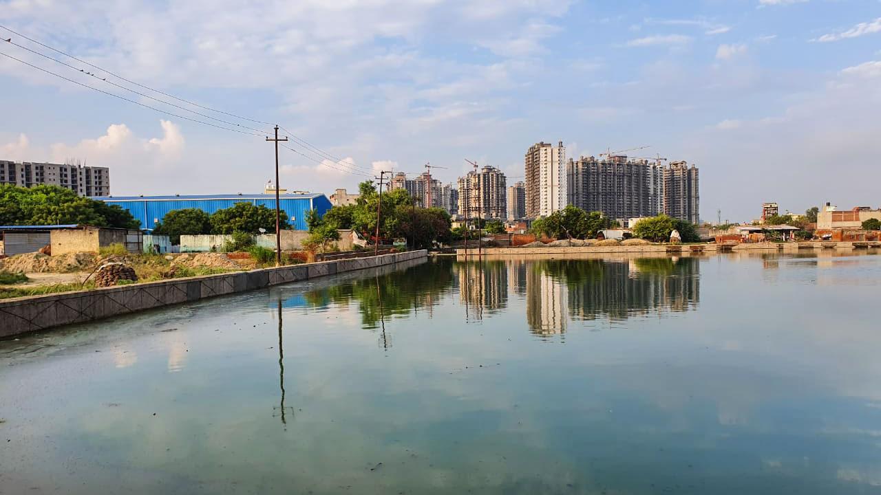 Pond in India after being cleaned
