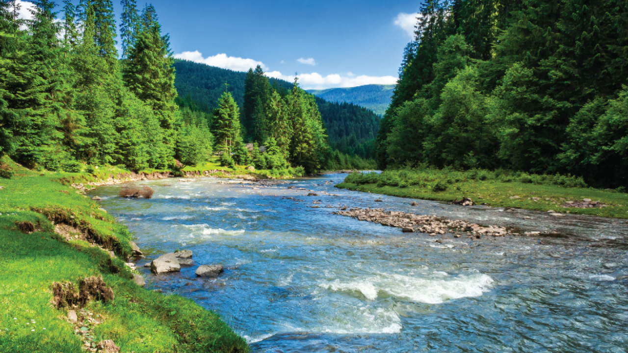 Mountain stream
