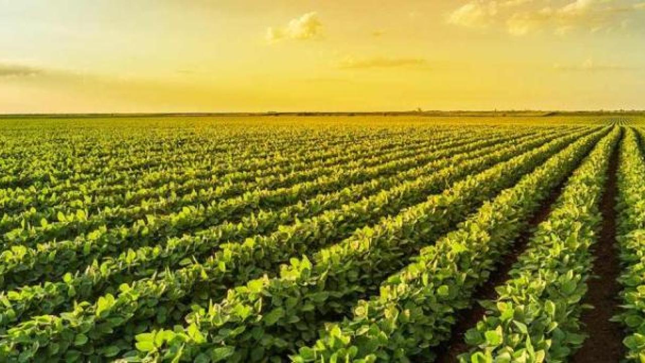 ProTerra Certification from SCS Global Services