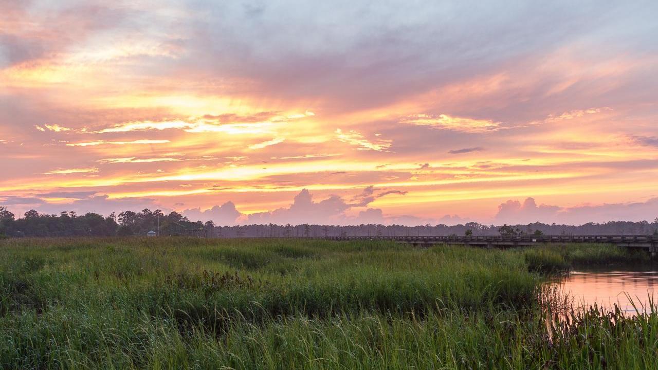 Sunset over a wetland