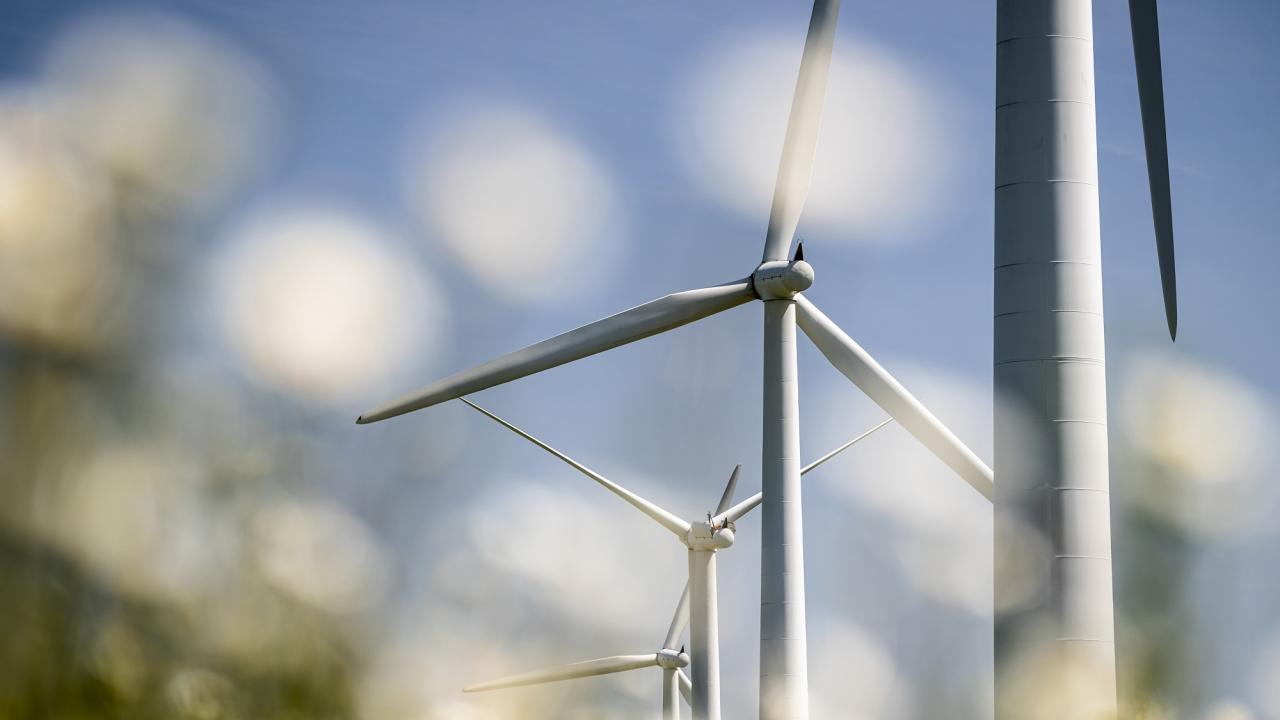Line of Wind Turbines