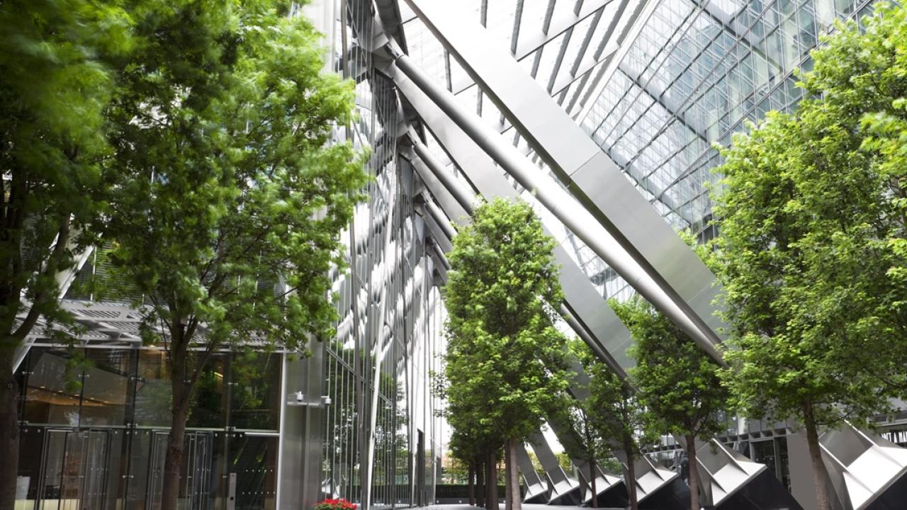 An office space with many windows and trees inside