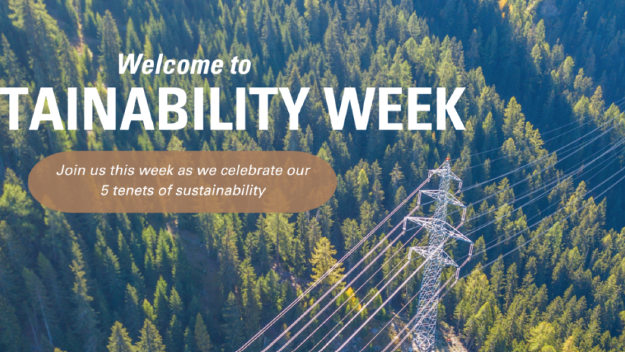 Sustainability Week Header