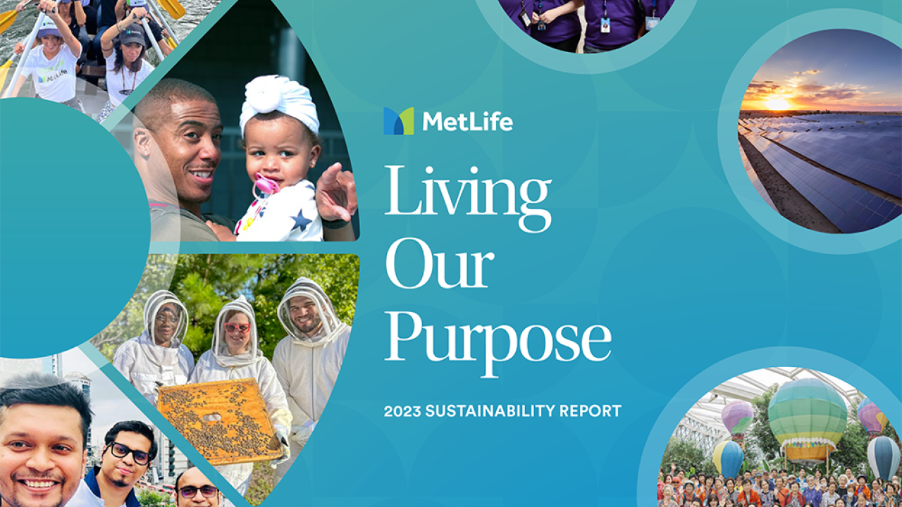 Sustainability Report Cover