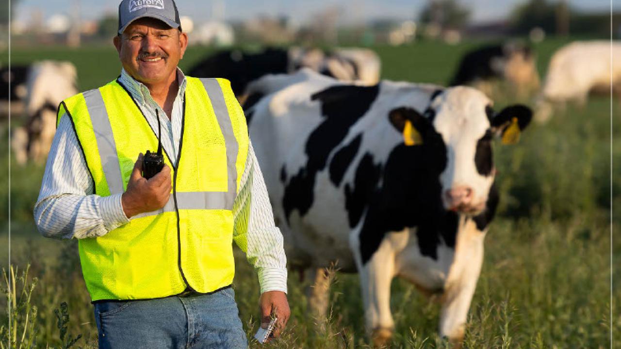 Sustainability Report cover with an employee and cows