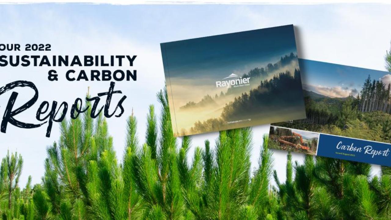 "Rayonier Sustainability and Carbon Reports"