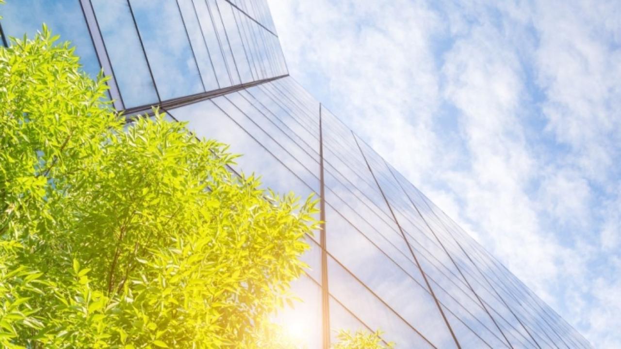 Tall glass building, tree tops, and sunny sky
