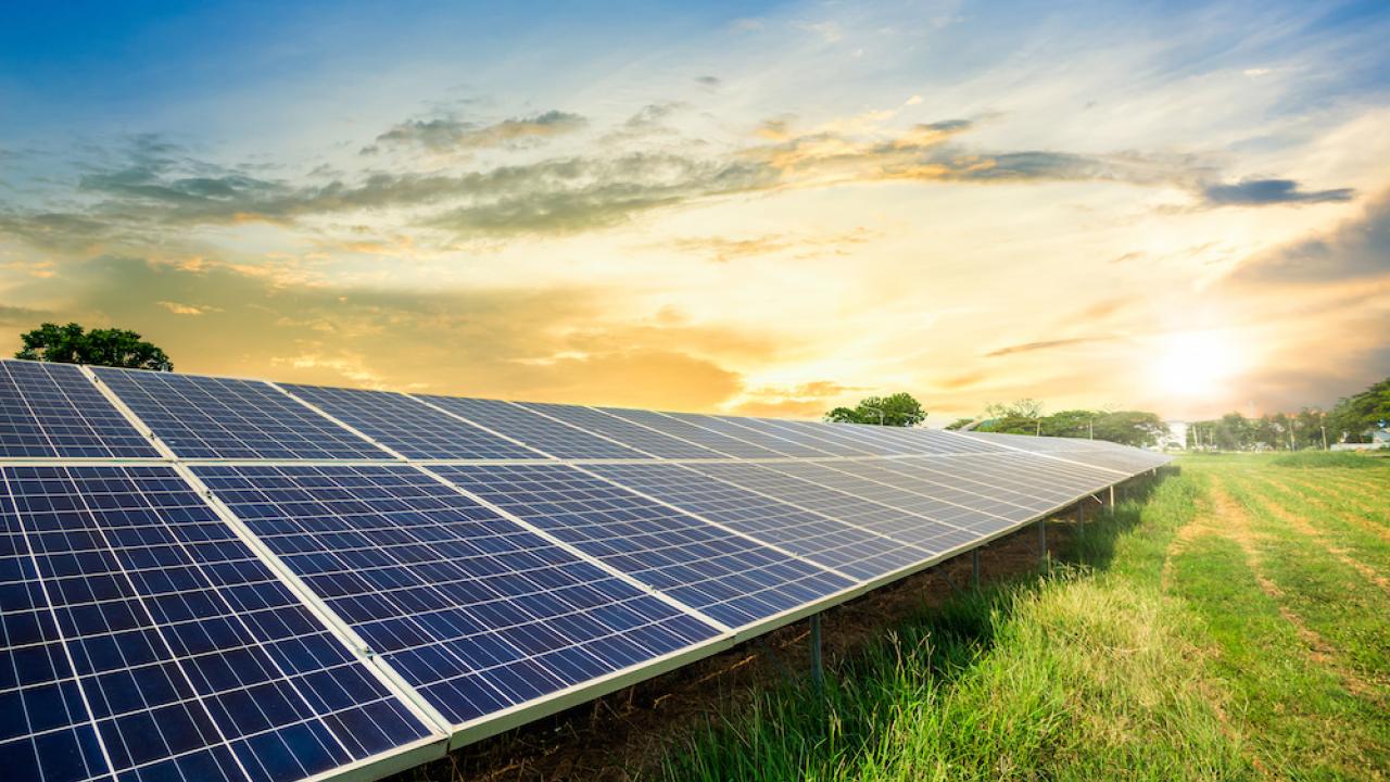 solar panels