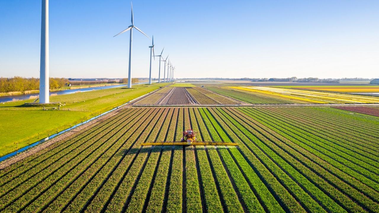 Agriculture