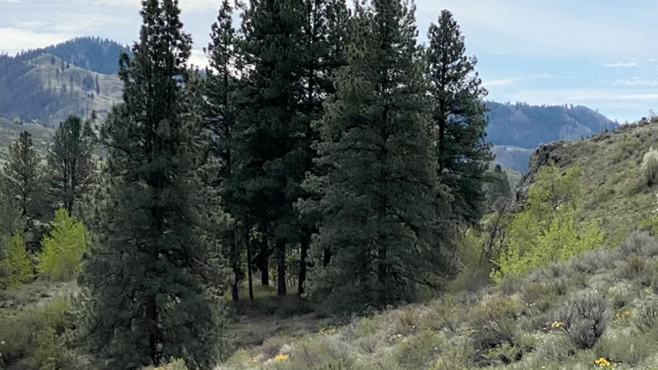 Sustainable Land Trust
