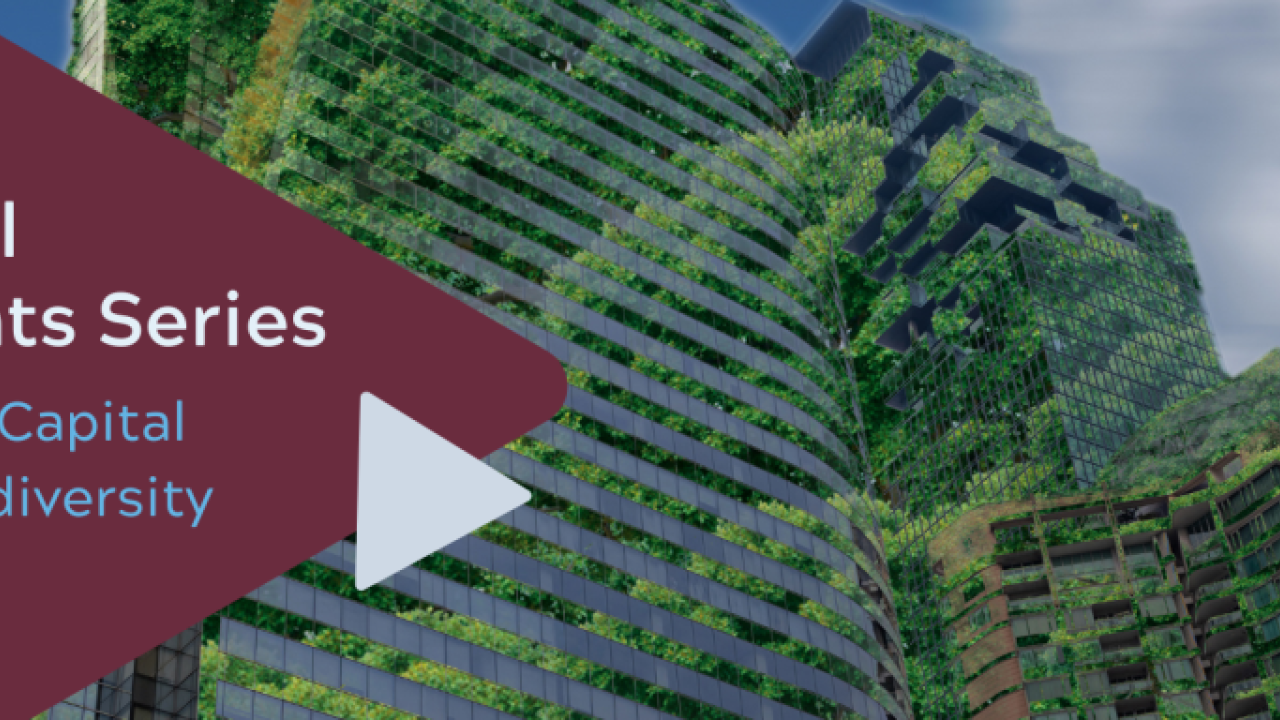 "Global Insight Series Natural Capital and Biodiversity" A play symbol and on the right a tall building reflecting dense greenery.