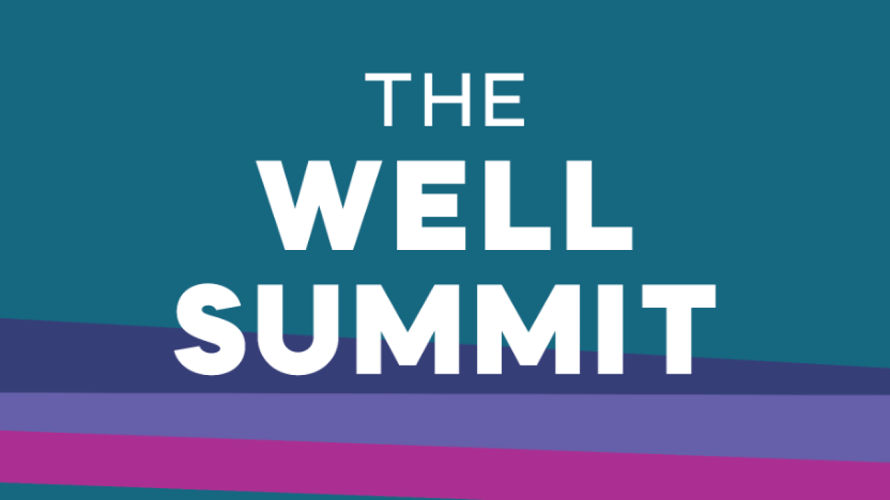 "THE WELL SUMMIT"