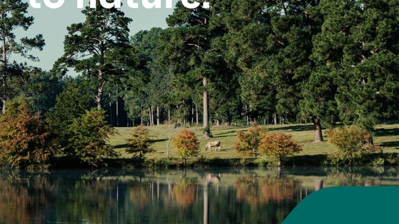 "We're committed to nature." superimposed on landscape with the International Paper logo at the bottom