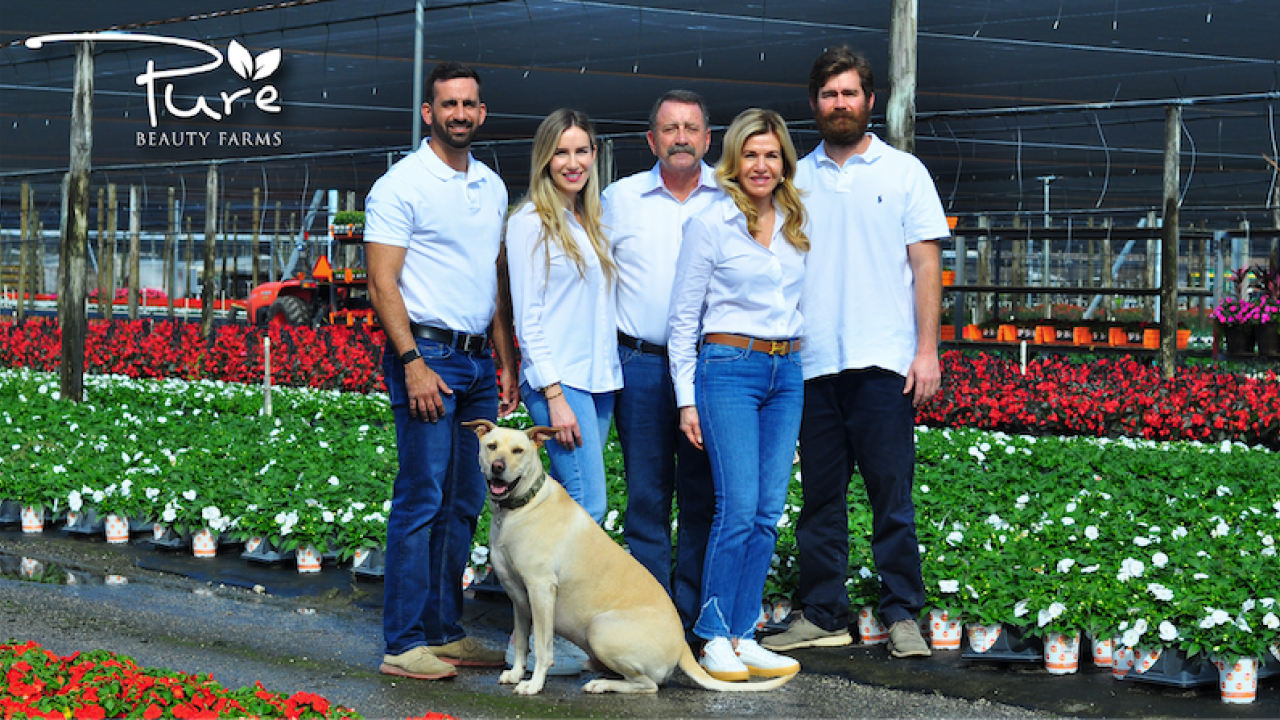 The Pure Beauty Team.